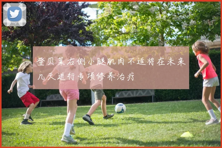 登贝莱右侧小腿肌肉不适将在未来几天进行专项修养治疗