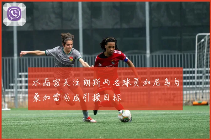 水晶宫关注朗斯两名球员加尼乌与桑加雷或成引援目标
