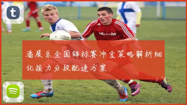 潘展乐全国锦标赛冲金策略解析细化接力分段配速方案