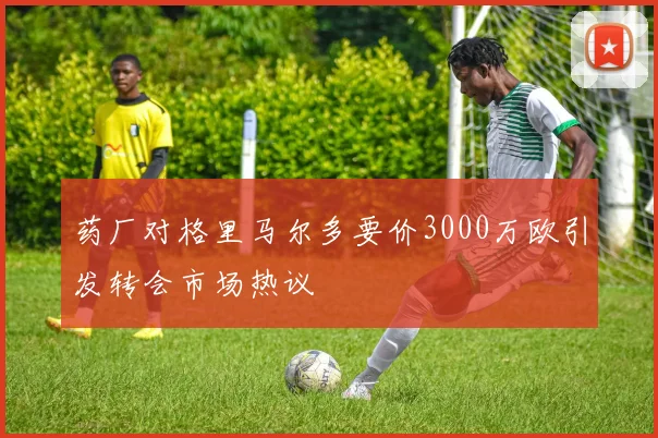 药厂对格里马尔多要价3000万欧引发转会市场热议